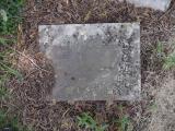 image of grave number 665301